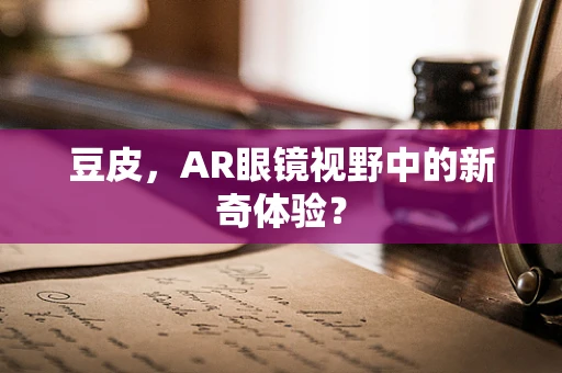 豆皮，AR眼镜视野中的新奇体验？