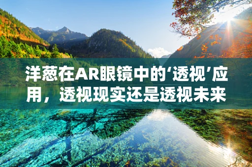 洋葱在AR眼镜中的‘透视’应用，透视现实还是透视未来？