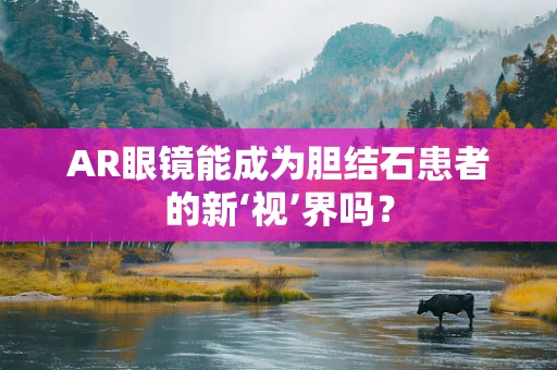 AR眼镜能成为胆结石患者的新‘视’界吗？