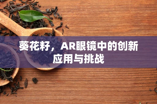 葵花籽，AR眼镜中的创新应用与挑战