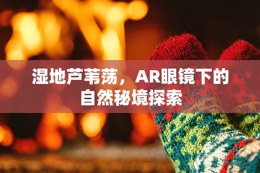 湿地芦苇荡，AR眼镜下的自然秘境探索