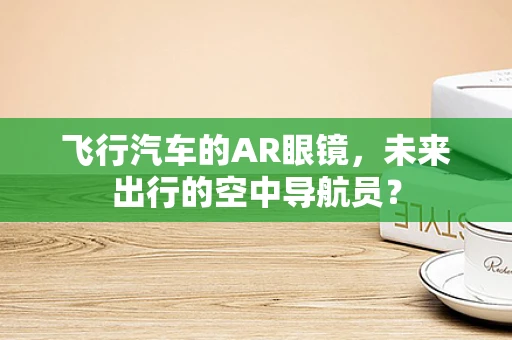 飞行汽车的AR眼镜，未来出行的空中导航员？