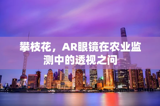 攀枝花，AR眼镜在农业监测中的透视之问